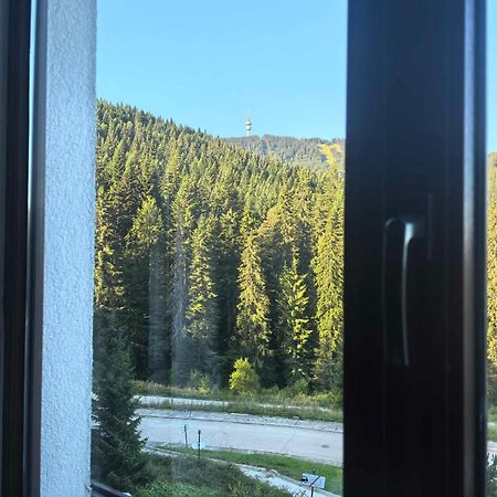 Тайната Квартира - The Secret Apartment Pamporovo Exterior foto